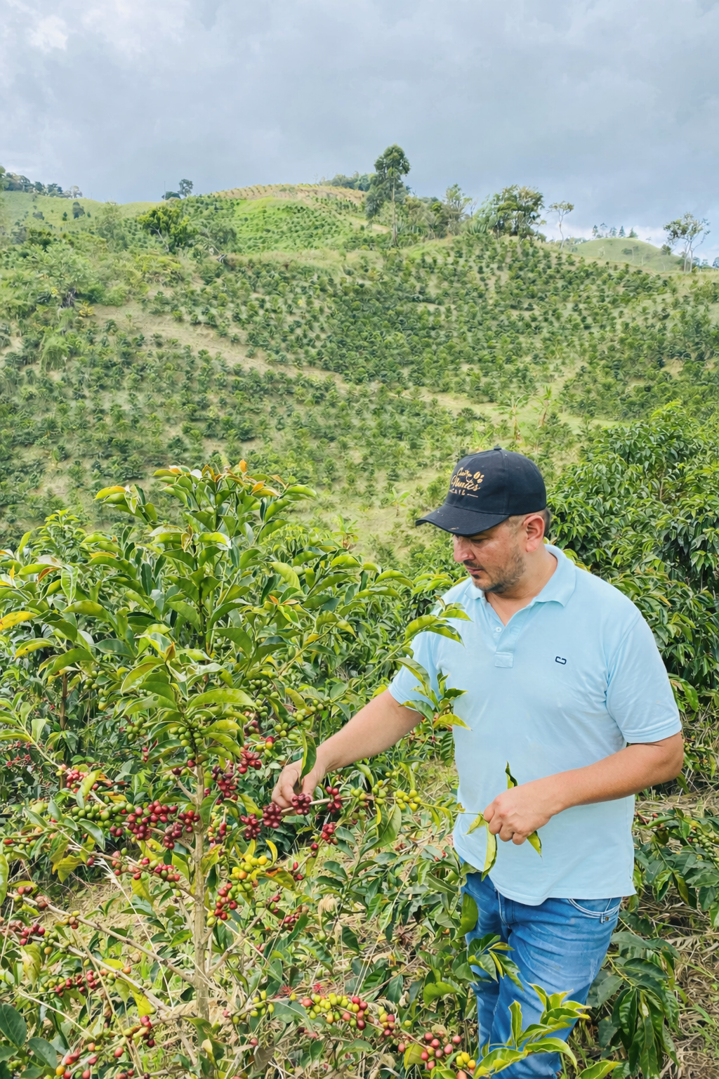 Columbia - El Triangulo