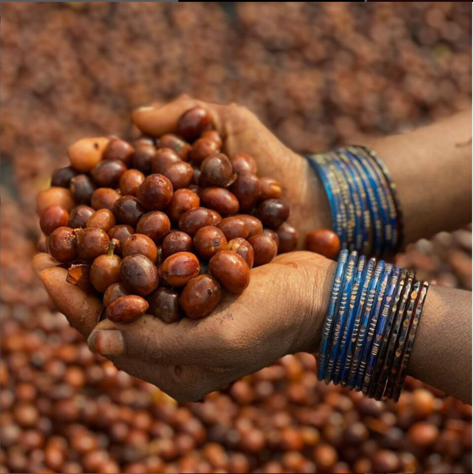 Kenya Tinganga Estate 🇰🇪