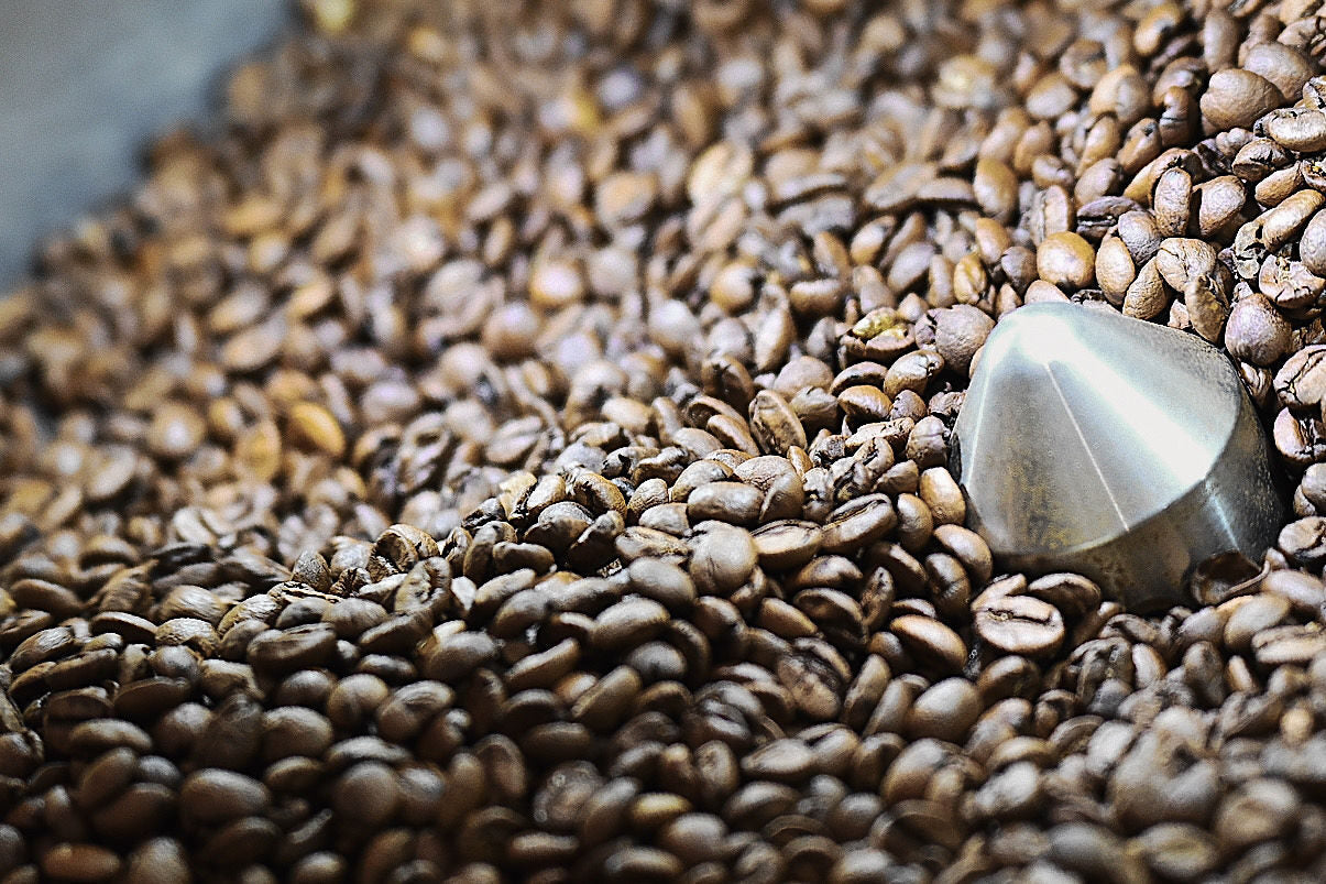 Nærbillede af friskristede specialty kaffebønner fra Piccolo Coffee