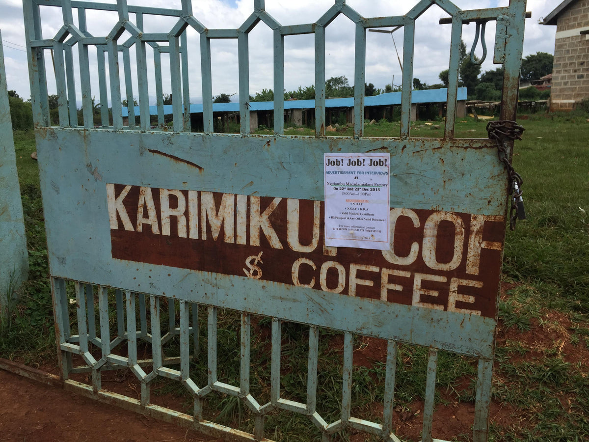 Porten til Karimikui Coffee Factory, Rung'eto FCS. Foto: Nordic Approach